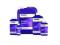 PLAGRON POWER ROOTS 100ML