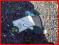 SERWO POMPA FORD FOCUS II 2.0 TDCI LIFT EUROPA