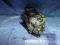 POMPA HAMULCOWA ABS FIAT PUNTO 0265204009  99r 1.4