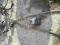 POMPA ABS HONDA CIVIC 2.0 TD INNE CZESCI