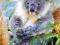Puzzle 500 Castorland Miś Koala B-51526