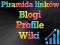 POZYCJONOWANIE 17550 LINKÓW BLOGI PROFILE WIKI