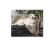 TRIXIE Koc Leopard 150 x 100 cm tx-36772