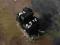 ALFA ROMEO 156 2.5 V6 ABS