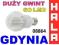 ŻARÓWKA GWINT E27 60 SMD LED ZIMNA 3W 230V GDYNIA