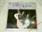 LP   EZUST GITAR  FARAGO JUDY ISTVAN   NOWA _!