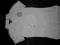 Nowa bluzeczka ARMANI EXCHANGE A/X  roz. S eska