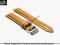 PASEK DO ZEGARKA 18 mm DILOY P338.18.17 BRĄZOWY