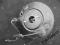 Servo serwo Mercedes W210 2.3 A0044305630