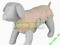 TRIXIE UBRANKO KING OF DOGS 40cm 30523