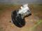 OPEL AGILA 1.2 16V 03R. SERWO