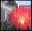 PORCUPINE TREE  Lightbulb Sun  (2 LP)  super stan