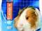 BEAPHAR Care+ Guinea pig 250g - pokarm dla świnek