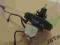 PEUGEOT 307 SERWO SERVO HAMULCOWE PEUGEOT 307 SERWO SERVO HAMULCOWE