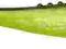 Guma Dragon V-Lures LUNATIC 15cm S-40-140