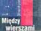 Między wierszami. Słownik poezji. Gimnazjum - Artu