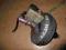 POMPA HAMULCOWA SERVO SEWRO BMW E39 2.0i