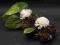 kompozycja kwiatowa stroik stroiki z szyszek kwiat