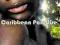 VARIOUS ARTISTS: CARIBBEAN PARADISE [2CD]