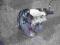 FORD FOCUS II MK2 SERVO POMPA HAMULCOWA 1.6 TDCI