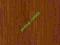 ASPRO Bambus Teak