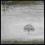 GENESIS  Wind &amp; Wuthering        stan BDB.