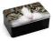 Oryginalna puszka Catseye KOT (TABBY CAT)
