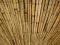 Mata z Trzciny Trzcina 1x5m osłona płot typ bambus