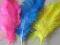 Piórka dekoracyjne ozdobne 15 kolorów ŚWIĘTA W-wa