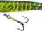 WOBLER SALMO JACK 18CM 70G KOLOR RPE TONĄCY