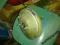 SERWO MERCEDES 190, 124, 202 ORG MB DESEL