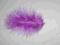 Piórka z marabuta F I O L E T O W E !!!