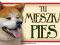 AKITA INU TABLICZKA NA DRZWI