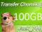 TRANSFER CHOMIKUJ 100GB - NAJTANIEJ - AUTOMAT 24/7