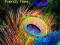 LATE NIGHT TALES: FRIENDLY FIRES [CD]