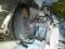 POMPA SERVO DO CITROEN C4 1,6HDI
