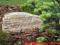 kamień ogrodowy łupek skalniak skalniaki kwarcyt
