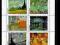 Vincent Van Gogh / Mail Art Paris