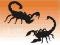 naklejka SKORPION skorpiony naklejki 13 cm