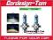 ŻARÓWKI XENON WHITE H4 100W MITSUBISHI NISSAN VW