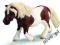 Schleich SCHLEICH KUCYK RASY SHETLAND