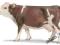 Schleich SCHLEICH KROWA RASY SIMMENTAL new 2009