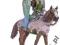 Schleich SCHLEICH ELF SURAH new 2009