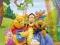 WINNIE THE POOH (007) - Plakat Plakaty PGB-FP1341