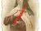 Cuda 278 St.Teresia  Litho.