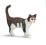 Schleich 13638 Kot stojący