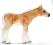 Schleich 13699 Źrebię rasy Haflinger