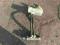 Alfa Romeo 156 1.6 16V pompa hamulcowa