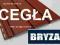 BRYZA CEGŁA siding panel panele PCV boazeria