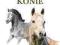 Konie Mini album _ Jon Stroud